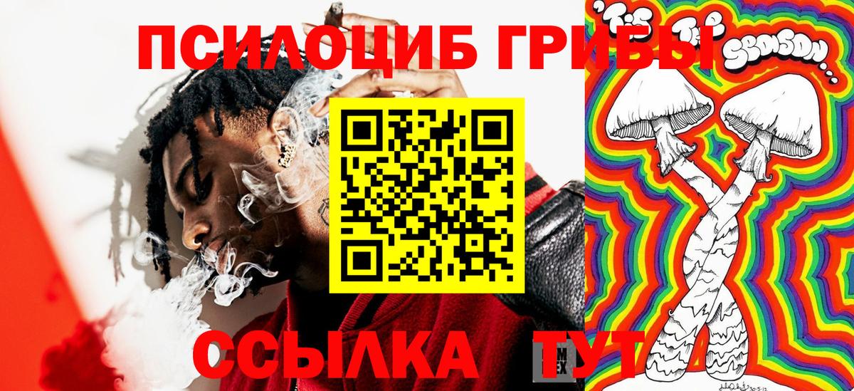 Котлас  Псилоцибиновые грибы Psilocybe  Вход с VPN 