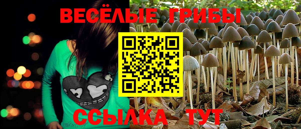 Псилоцибиновые грибы прущие грибы Котлас